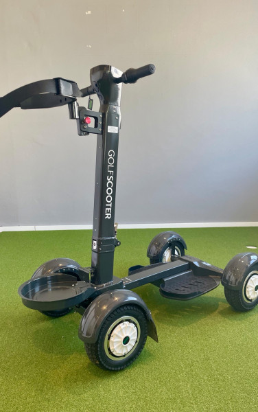 Golfscooter Grau Neu mit optischen Mängeln